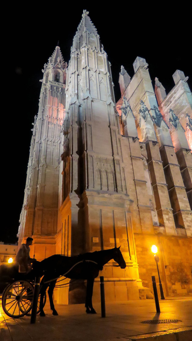 Nachtelijke rondrit door 't stad 