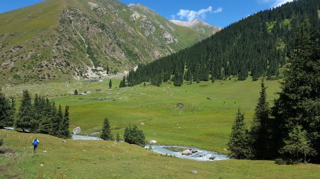 Wandelen in Altyn Arashan NP