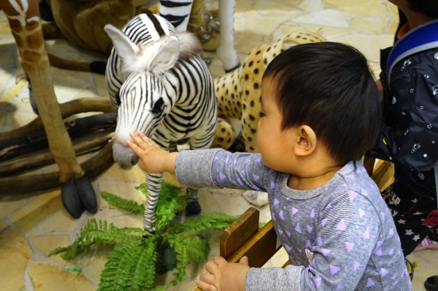 Safari in Hankyu Umeda