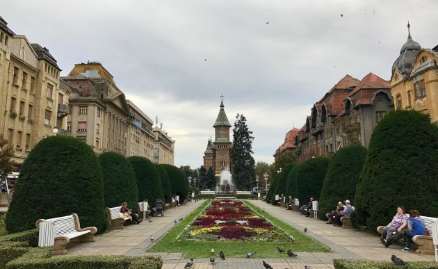 Timisoara