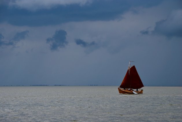 Terug naar de haven