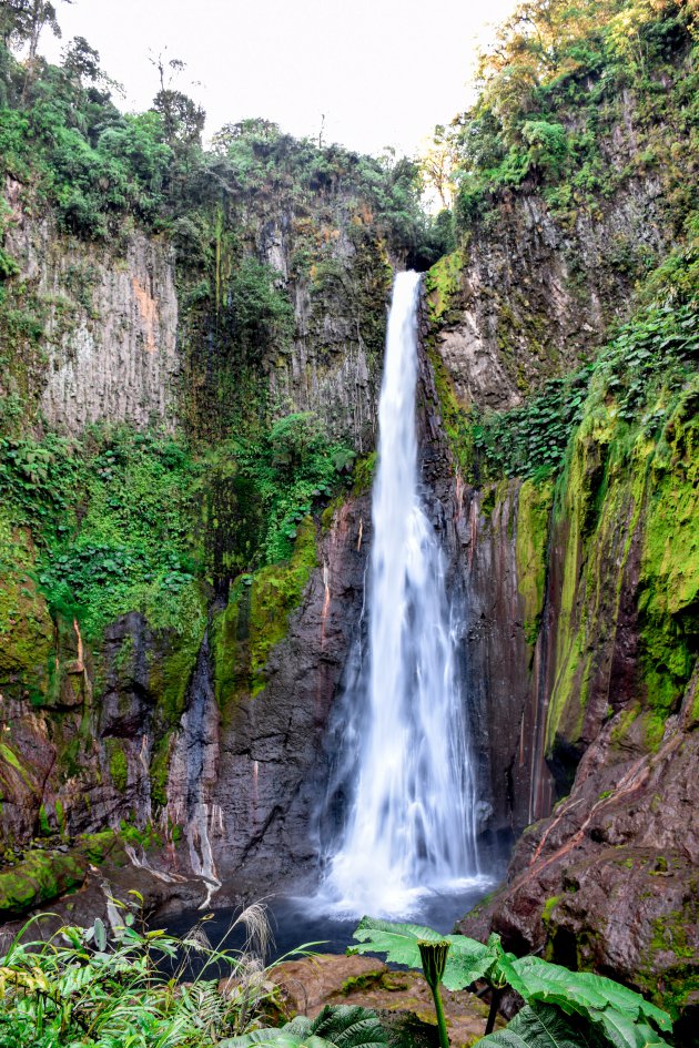 Buiten de gebaande paden in Costa Rica - Catarata del Toro