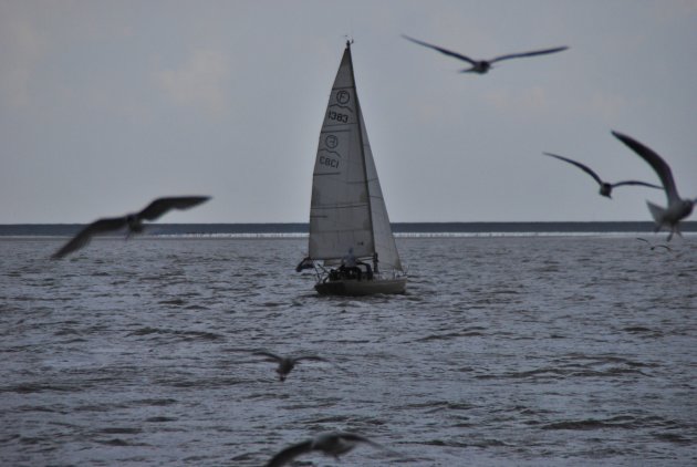 Zeilen op de Waddenzee