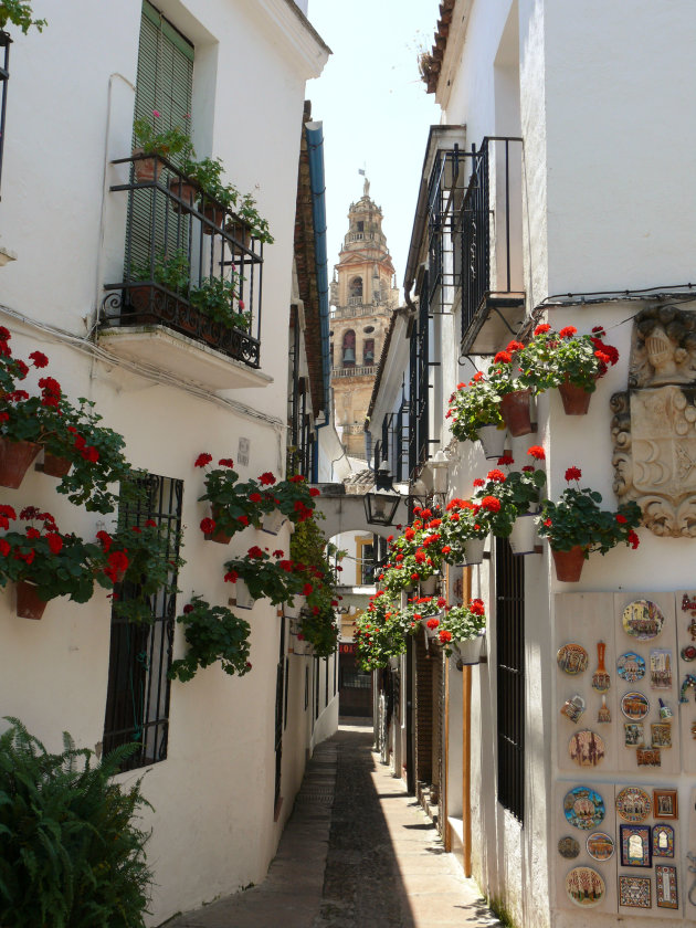 Calle de las Flores