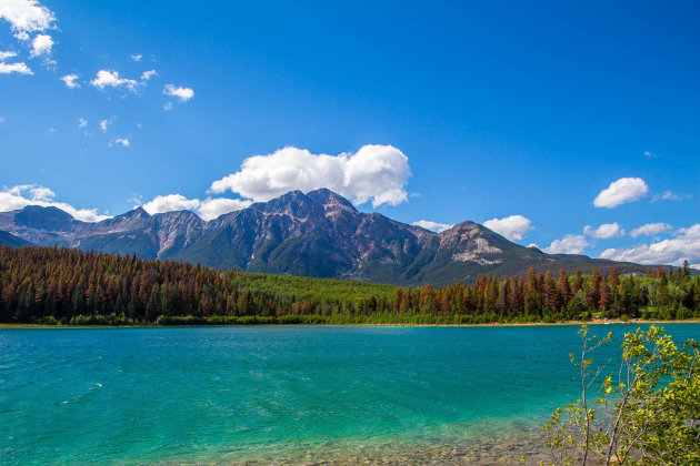 Patricia Lake