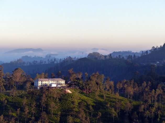 Prachtig uitzicht op Green Tea Factory bij Ella vanaf Little Adams Peak