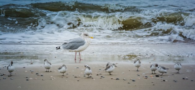 Strandtafereeltje