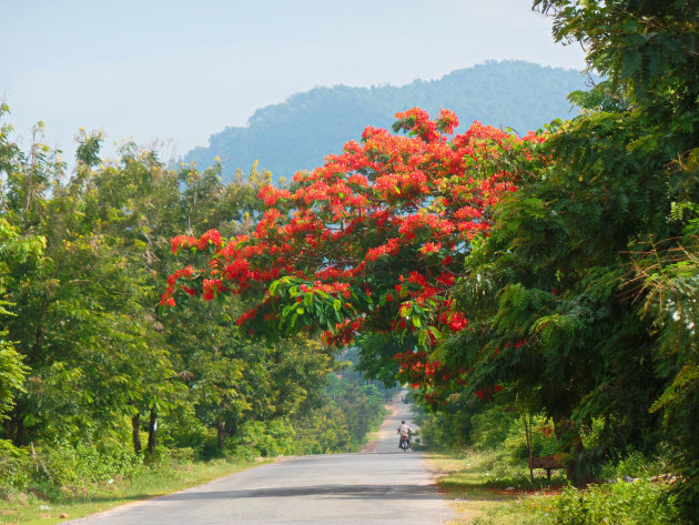 Prachtige natuur in Kampot