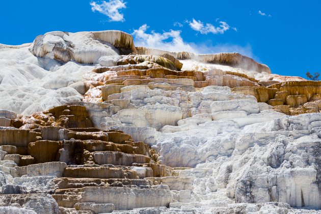 Mammoth Hot Springs 