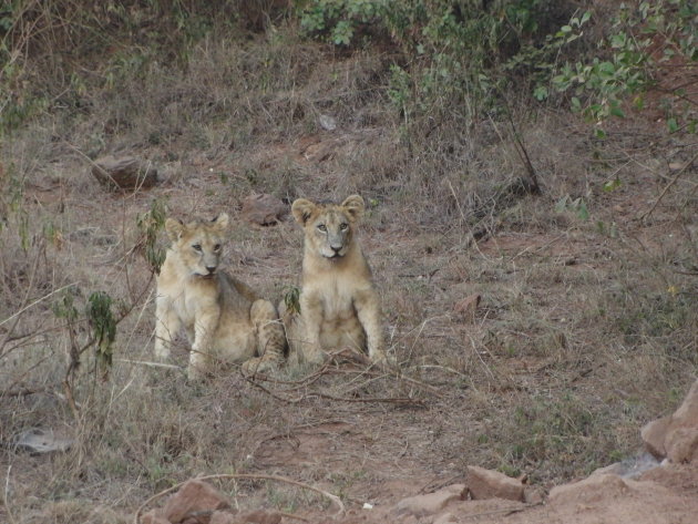 Nairobi NP