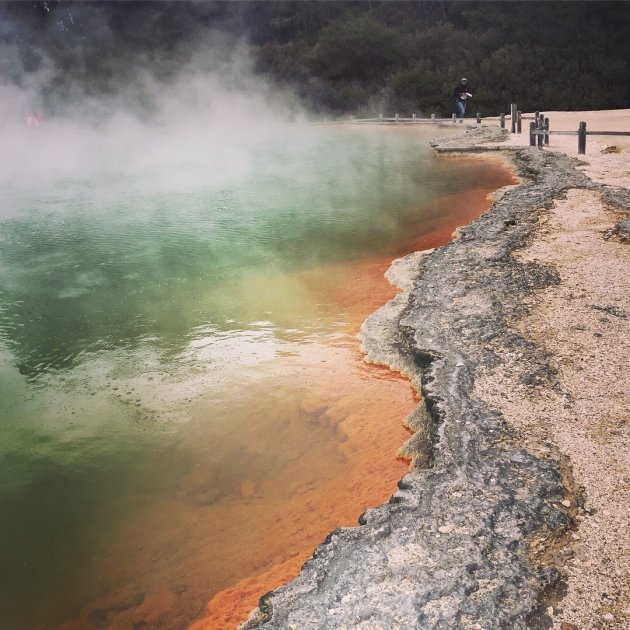 Wai-o-Tapu Thermal wonderland