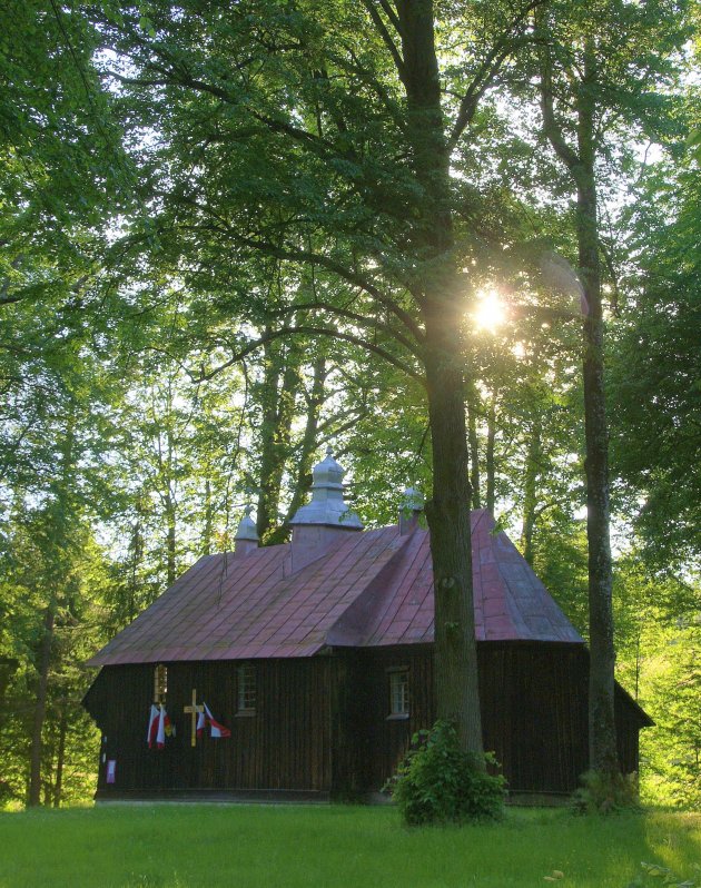 verscholen onder hoge bomen..