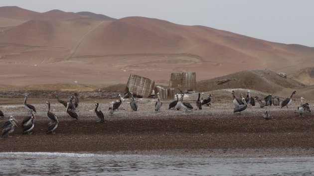 Islas Ballestas