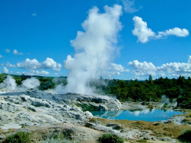 Smelly Rotorua