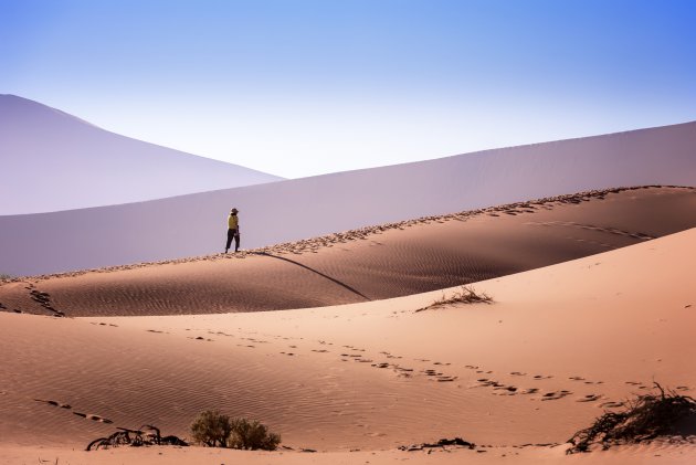 Op weg naar de Deadvlei