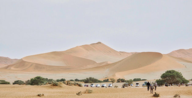 Golvende duinen