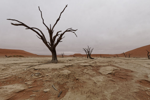 Dead Vlei