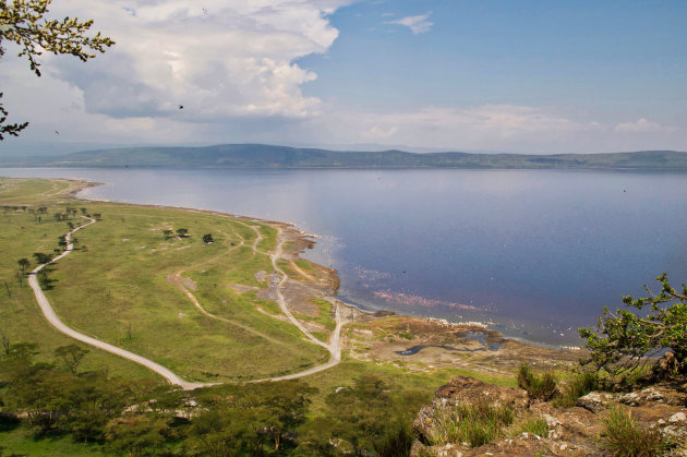 Baboon cliff view point