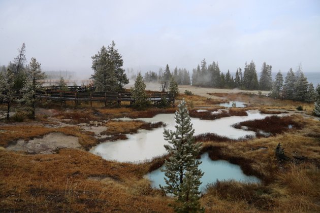 Sneeuw in Yellowstone