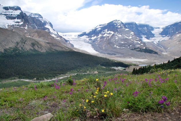 Uitzicht op de Athabasca Glacier