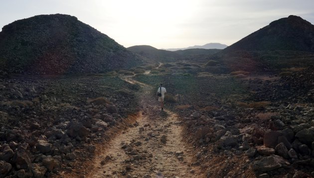 Isla de Lobos