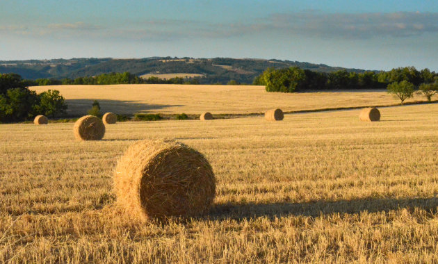 Zomer in de Dordogne