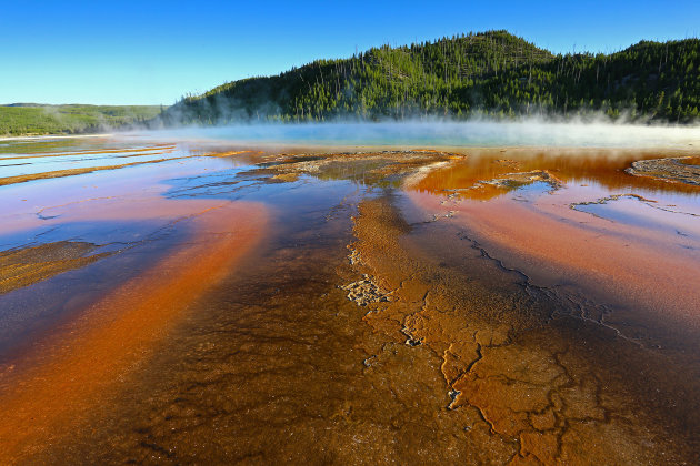 Grand Prismatic Spring in Yellowstone N.P.