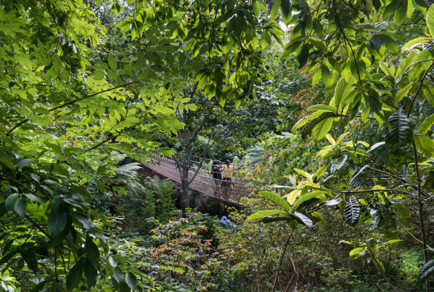 The Lost Gardens of Heligan