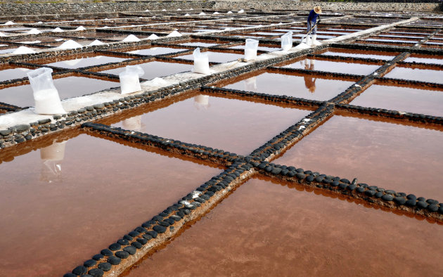 Salinas del carmen