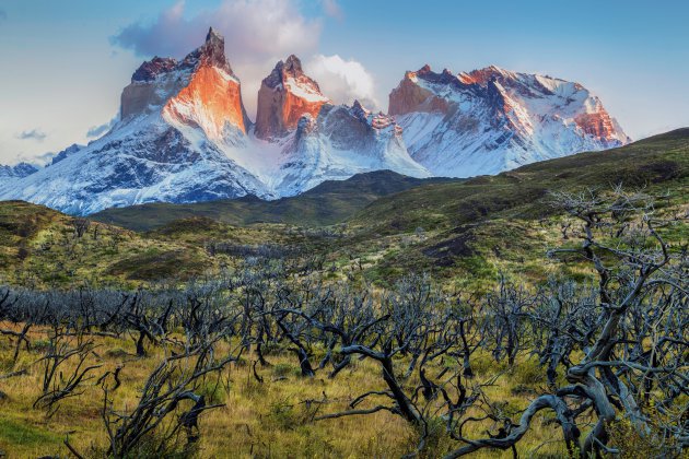 Cuernos del Paine