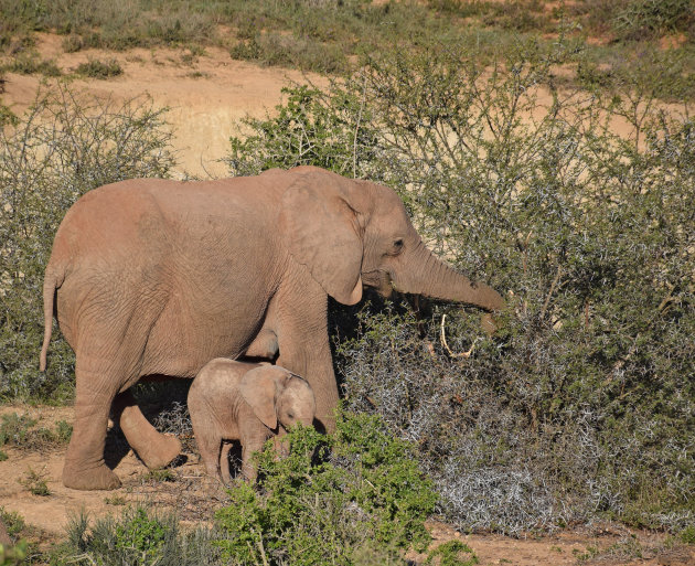 Mother and child