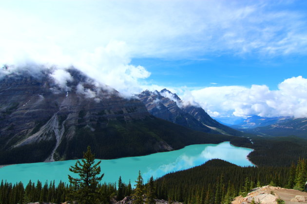 ´Peyto Lake - een blikvanger in de Rockies´