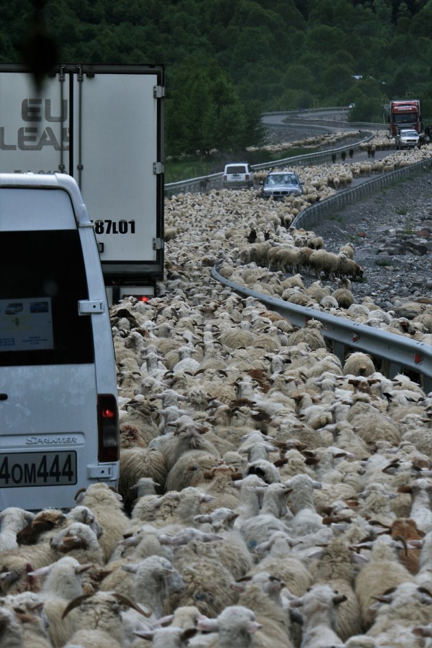 beetje vol op de weg