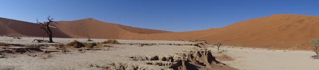 Panorama Deathvlei (openen)