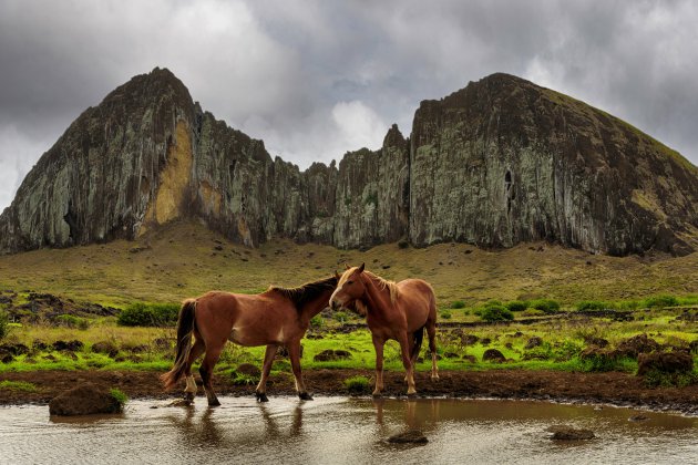 Rano Raraku