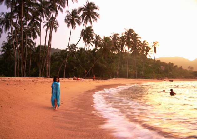 Wegdromen in Tayrona