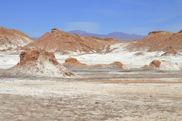 bizarre landschappen