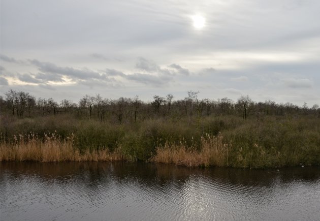 Winter in Brabant