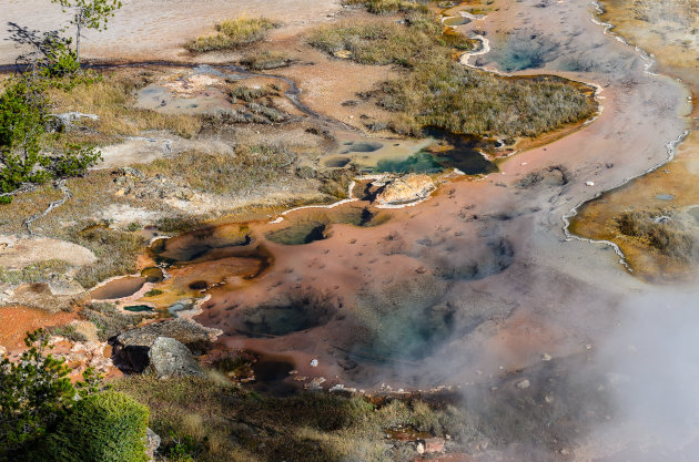 Yellowstone NP