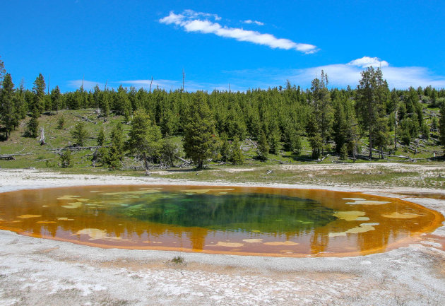 Beauty pool