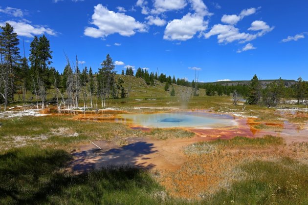 Yellowstone N.P.