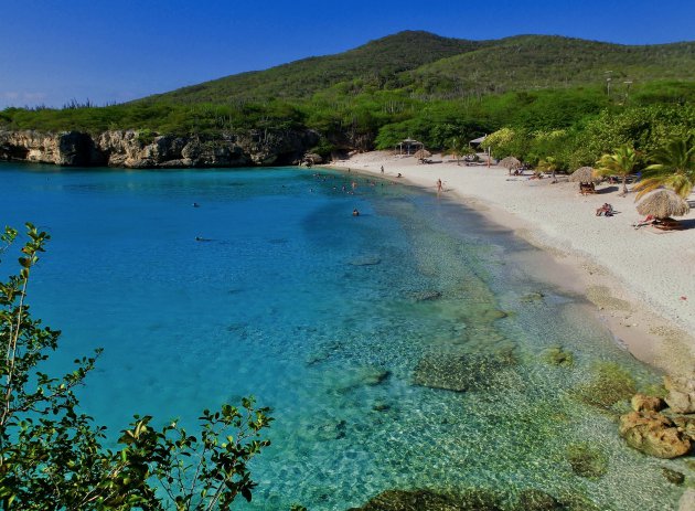 Blue Curaçao