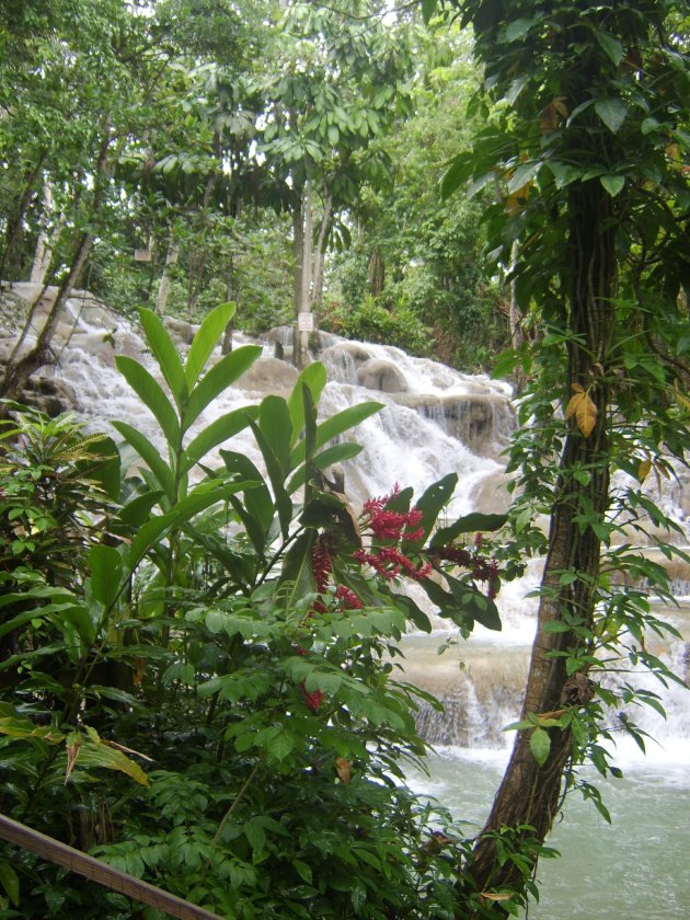 Dunn's River Falls