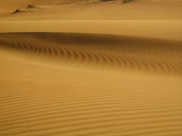 een stukje zand in de Wahibi Sands
