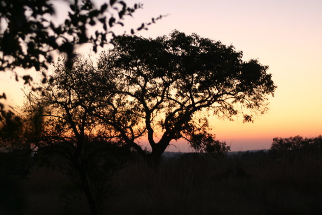 zonsopkomst in Krugerpark