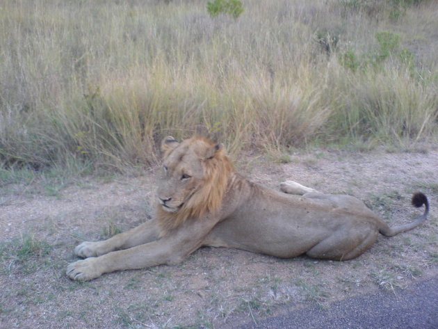 Krugerpark