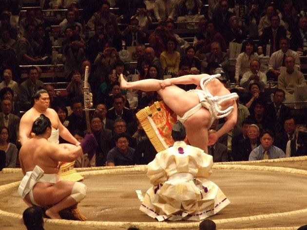 Sumo Champion in actie