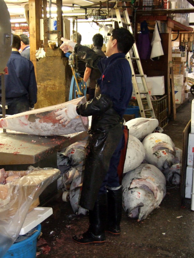 Tsukiji Fish Market