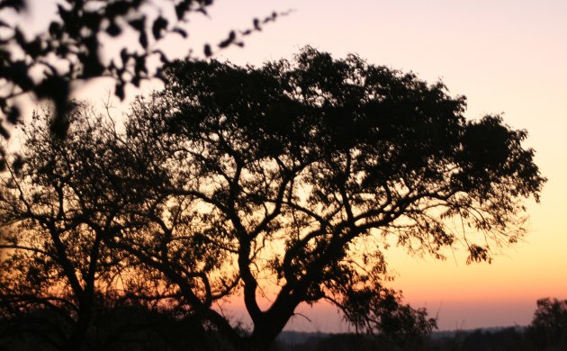 zonsopkomst in Krugerpark
