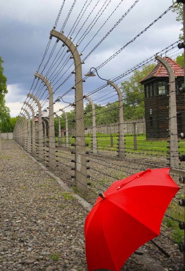 Auschwitz 